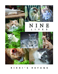 Buy this poster and Save a Life!
