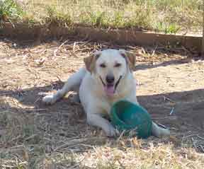 happy boy