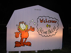 feline fields